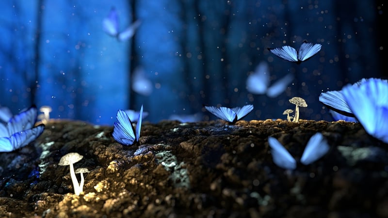 Fantasy Forests